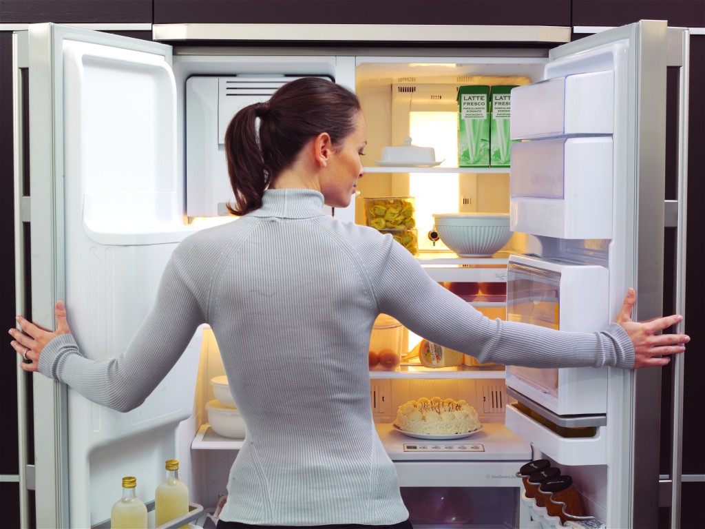 На что следует обратить внимание при выборе холодильника